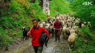 Yeşil Vadideki Keçiler - Dedenin Mirası | Belgesel Film
