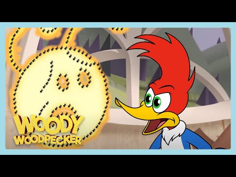 El pájaro carpintero contra las abejas | Woody Woodpecker | Wildbrain Niños