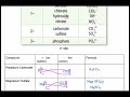Exploring Polyatomic Ions