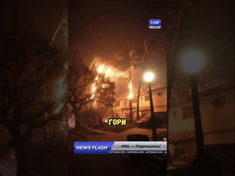 ⚡️❗ Ди Каприо официально обратился к Путину за гражданством РФ @MNLRussia 🇷🇺 #новости #шоубизнес