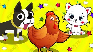 Tavuğum Gıt Gıdak Der-Köpeğim Hav Hav Der-Kedicim Mırnav Der-Çocuk Şarkıları-Çizgi Film-Furkiş TV