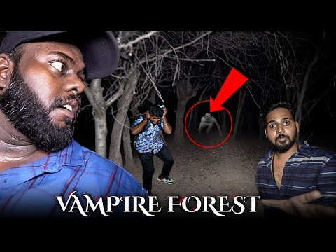 Vampire Forest ( WARNING !! )