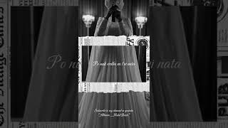 ✨ #halalmusic #music #folksong #kenga #kengdasmash #subcribemychannel #valledasmash #song #subscribe