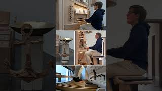 Im Meer der Zeit #organ #schillig