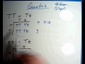 Punnett Square Concepts and Applications