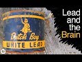 Lead Poisoning and Neuron Function