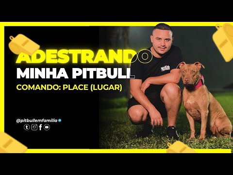 ADESTRAMENTO MINHA PITBULL ( comando placê/lugar) ASSISTA ATÉ O FINAL e APRENDA TBM ! #pitbull