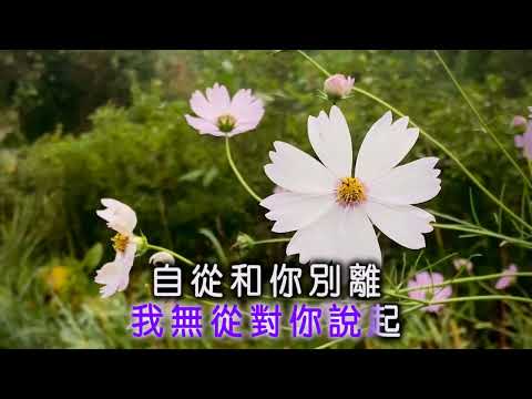 韓寶儀【深深的戀情】原曲遙遠寄相思 KTV天籟之音國語原聲甜歌皇後80年代經典情歌懷舊金曲歌後華語老歌精選流行好歌甜美柔情百萬暢銷Best Songs Of HanBaoYi MUSIC VIDEO