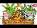 Proses Hidup Hewan dan Cara Melindungi Diri