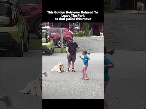 This Golden Retriever Refused To Leave The Park… so dad pulled this move