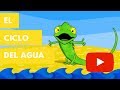 Ciclo del Agua y el Camaleón