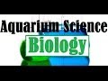 Aquarium Ecosystem Knowledge Assessment