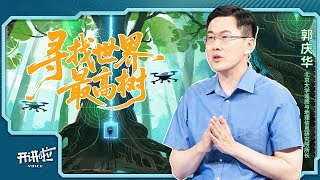 中国第一高树是怎样探测出来的？踏破铁鞋寻找世界最高树 是科学家的执念还是浪漫？听很会爬树的郭庆华教授慢慢揭晓 20250809 | 开讲啦 The Voice