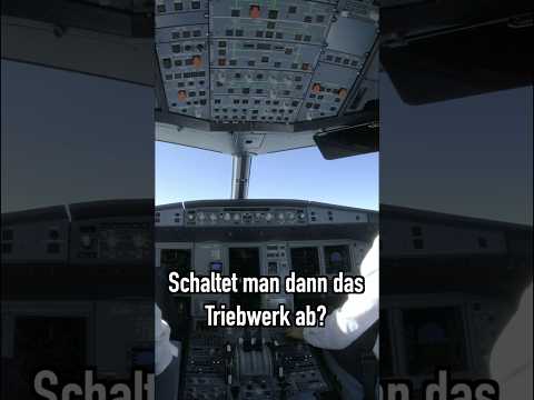 Birdstrike! Airbus A330 muss umdrehen! AeroNews #shorts