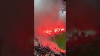 Dinamo București  - CSA Steaua