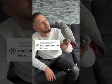 4 dรฉcembre 2022