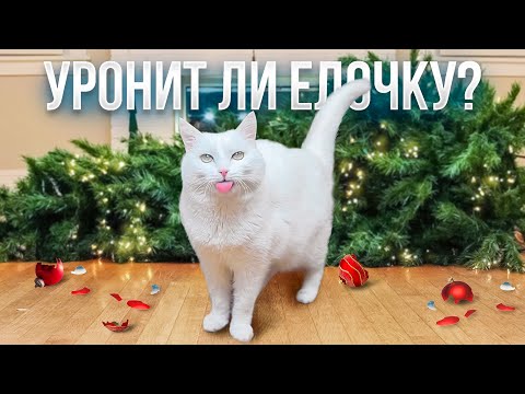 СОБИРАЕМ ЕЛОЧКУ ВМЕСТЕ С СОФОЙ🐈 🎄