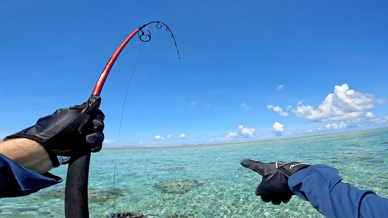 Sight casting a really big fish in shallow water - Cavy Fishing