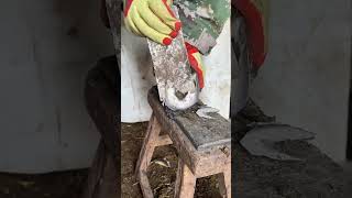 The master trimmed the donkey's hooves, cleaning them thoroughly. It was really relieving to watch.