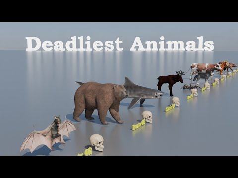 Deadliest Animal Comparison