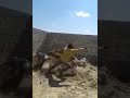 Análise do Vídeo Tutorial