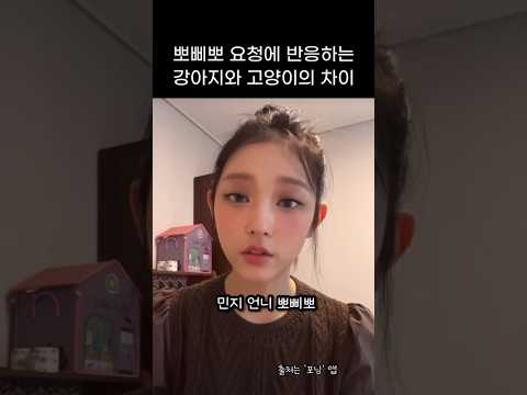 [뉴진스] 개 고양이 키우려는 사람 참고