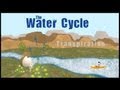 Exploring the Water Cycle Dynamics