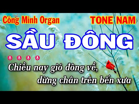 Karaoke Sầu Đông Tone Nam Rumba ( Fm ) Nhạc Trẻ 8x 9x Beat 2024