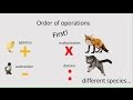 Order of Operations in Mathematics