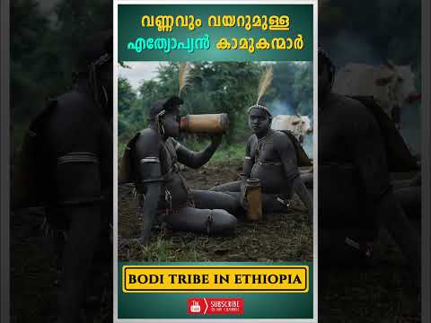വണ്ണവും വയറുമുള്ള എത്യോപ്യൻ കാമുകന്മാർ | bodi tribe in ethiopia #shorts