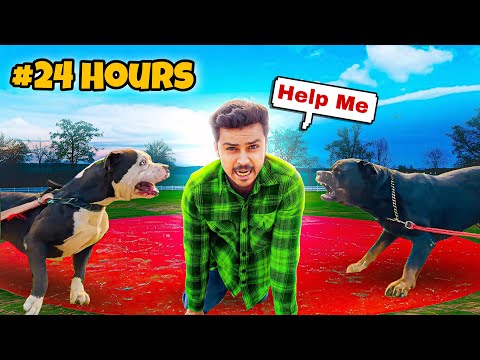 24 Hours Challenge in Circle with Danjerous Dog Rottweiler or Pitbull