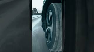 Favorite Plans | #shorts