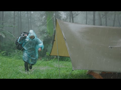 SOLO CAMPING IN HEAVY RAIN STORM - SAFE NIGHT IN THE TENT - ASMR