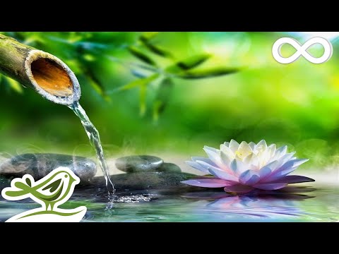 Soothing Relaxation: Relaxing Piano Music &amp; Water Sounds for Sleep, Meditation, Spa &amp; Yoga
