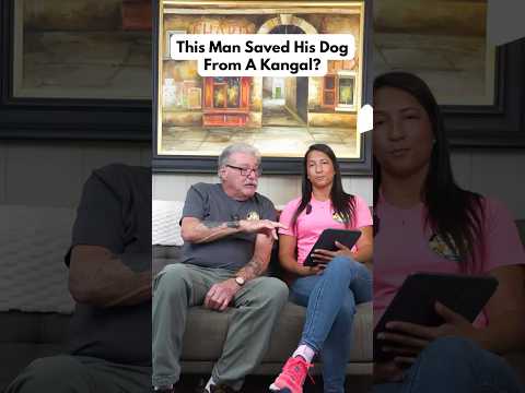 This Man Saved His Dog From A Kangal? #puppy #dogtraining #dogs Learn https://linktr.ee/k9koncepts