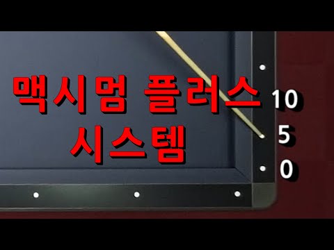 맥시멈 플러스 시스템