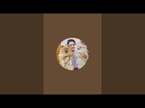 Dil Se Vlogger is live!