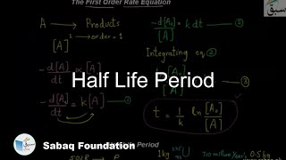 Half Life Period