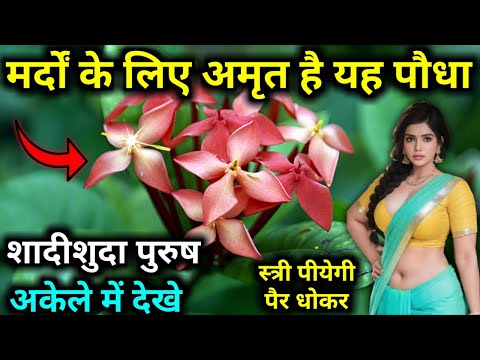 मर्द को फौलादी ताकत देता है दालचीनी, ऐसे करे इस्तेमाल | Health & Vastu Tips Cummins benefits