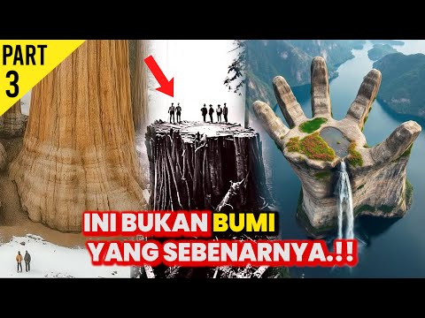 Teori Pohon Raksasa Terbantahkan! Apa yang Sebenarnya Terjadi?