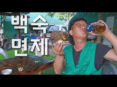 [새로온 친구들] 친해지면 잡아먹지  않습니다. #전원 면제