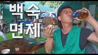 [새로온 친구들] 친해지면 잡아먹지  않습니다. #전원 면제