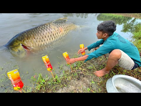 Amazing Boy Catching Fish By Plastic Bottle Hook Trap In Pond | Fishing Video