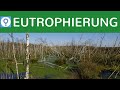 eutrophierung-kranke-see/