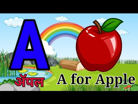 Alphabets A to Z |abcd with Live Example | A for Apple | Alphabets With Words | English