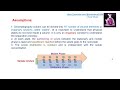 Chromatography Theory and Concepts