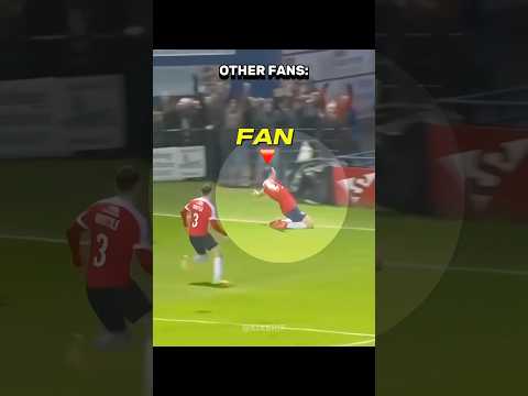 Other Football Fans + HIM 💀