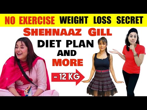 आसानी से Shehnaaz Gill ने 12 Kgs वज़न बिना Exercise कैसे कम किया ? Her Easy Diet Plan + MORE🔥REVIEW