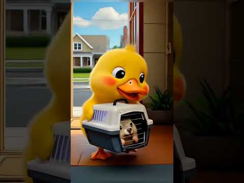 Duck in rabbit 🐇#viralshort #shortsfeed #ytshortsindia #shortsfeed #viralshorts #shortsviral #shorts