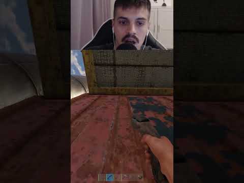 Встреча двух КРЫС в  #rust #triffon #раст #трифон